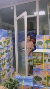 Sỉ 1 thùng quả la hán (260 quả/ thùng) - Thảo dược Hạnh Nguyên