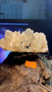 Bụi đá Thạch Anh vàng tinh thể tự nhiên cộng sinh Tourmaline năng lượng vũ trụ thiền định cực mạnh 813