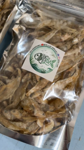 Bilis Lah Bulu Ayam (200g/500g/1kg) [Borong] [Direct Kilang] Ikan Masin / Salted Fish / 凤尾咸鱼