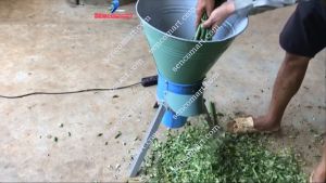 Máy băm xắt bèo tây rau muống phểu inox
