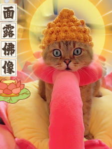 Hand Knitted Pet Hat for Cats And Dogs Buddha Eight Tragedies Funny Cute Headwear Woolen Cable Knit Pet Costume Accessory