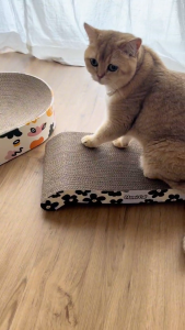 Mami Cat Scratching Boards | Oval Den & Arch Bridge Cardboards