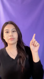 LANSINOH CONTACT NIPPLE SHIELDS | Pelindung Puting Silikon untuk Ibu Menyusui