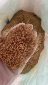 ปุ๋ย 8-24-24 ออคิเดนซ์ ระบบน้ำ (สูตร B มีคลอไรด์ เชือกเขียว) เร่งสะสมอาหาร บรรจุ 25 กิโลกรัม