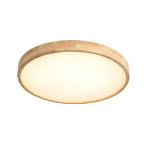 DGY | New Style LED Japanese Style Ceiling Light