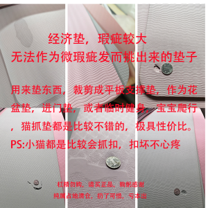 Professional TPE Yoga Mat Anti-Slip Fitness Home Use Exercise Mat Women Jump Rope Mat Men Style Clear Stock Sale