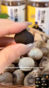 Black Garlic Solo Bawang Tunggal Premium Bawang Lanang