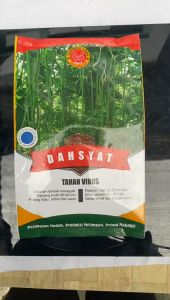 Benih kacang panjang DAHSYAT tahan kresek daun isi 500gr dari CAP SEBELAS