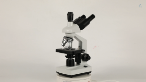 Three eye biological microscope for scientific research medicine aquaculture experiments pet science specialized