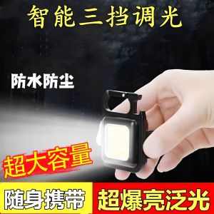 Rechargeable LED Keychain Light Outdoor Mini Torch Light Portable Multi-Function Personal Work Light USB Charging Camping Travel Gear