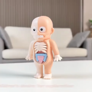 GOLDEN Human Body Anatomy Model Sains Montessori 3D Puzzle Tubuh Manusia Mainan Edukasi Organ Tubuh