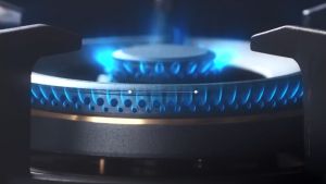 Rinnai RB-92G 2-Hyper Burner 5.5kW Flexi Hob Built-in Gas Hob