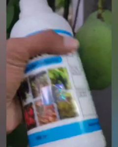 PUPUK BOOSTER 76 - PEMICU TUMBUH BUAH BUNGA DLL