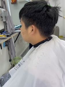 Hania Low-noise Hair Clippers: Professional Trimmer Set with Adjustable Blade Depth Guide