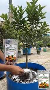 JP AGRI Organic Fertilizer Powder 250g | Fruit Booster Bloom Booster & Plant Growth Support