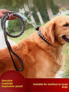 VOA | Anti-Pull Dog Leash for Large Breeds Leather
