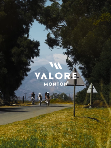 ÁO NGẮN TAY VÀ DÀI TAY VALORE TERRA WOMEN CHÍNH HÃNG VALORE VẢI SIÊU THOÁNG KHÍ