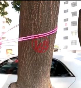 Tali Jemuran Baju & Hanger Pakaian Portable: 5 Meter & 3 Meter