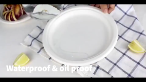 20pcs Disposable Plate 9" Bamboo fiber Extra Strong Extra Thick Microwave Safe Paper Plate Cut Oil