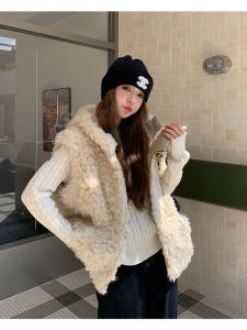 เสื้อกั๊กขนสัตว์ปลอมแบบมีฮู้ด แขนกุด ทรงหลวม สำหรับผู้หญิง ฤดูหนาว 2025 ทรงปกติ ไม่มีกระดุม ผ้าฝ้ายผสมสีพื้น