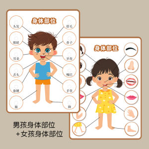 Physical Parts of Facial Features Kindergarten Baby 2345-6 Years Old Childrens Velcro Operation Cognitive Training Teaching Aids