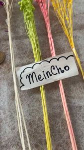 Bunga Kering Lino: Dekorasi Cantik dan Tahan Lama