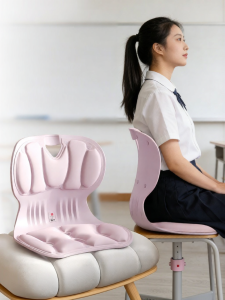 Ergonomic Lumbar Support Cushion Seat Pad