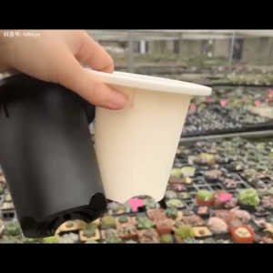 Round Thick Pot Aglaonema Pot Succulent pot plastic pot 万年青盆 树脂花盆 多肉花盆 块根植物盆 加厚塑料花盆 控根盆 万象盆 多肉花盆 兜