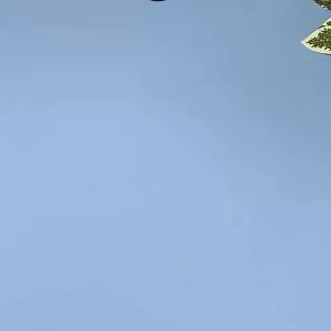 Marino Home หัวซิปสีเงิน หัวซิปสีทอง สำหรับเย็บผ้า อุปกรณ์เย็บผ้า No.Y1731 Y1732