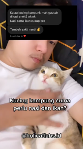 Holycatlabs Royal Cats 1 Kapsul | Vitamin Bulu Rontok Melebatkan Mengkilapkan Bulu