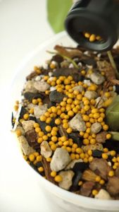 Vitacote (All Balance ) 14-14-14 (220gm)