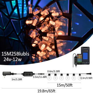 G40 Outdoor Lights Garland DIY String Lights Remote Control Lights Bulbs for Patio Garden Outside Backyard Christmas Decoration