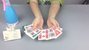 10 Sheets 60x60mm Waterproof Singapore Flag Tattoo Sticker Water Transfer Temporary Tattoo FIBA World Cup