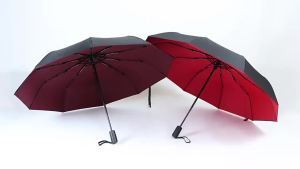 Ô Dù Tự Động Gấp Đôi Lớp 10 Nan Dành Cho Nam Và Nữ Thiết Kế Chống Gió Phong Cách Doanh Nhân Chất Liệu Polyester Pongee Dành Cho Hai Người