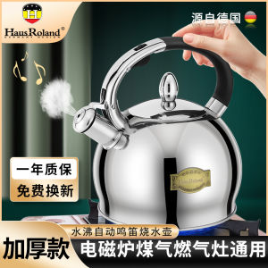 HausRoland 304 Stainless Steel Gas Stove Water Boiler Large Capacity Mirror Polish European Style Cooking Utensil for Home Use