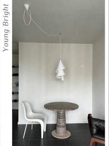 Simple and Designer Ceiling Light