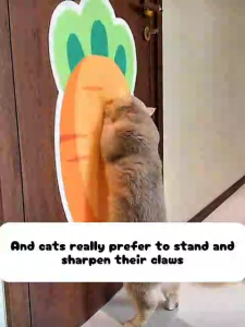Cat Climbing Mat – DIY Scratch Pad Wall Stickers