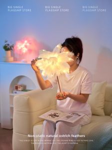 DADAN | Feather Decorative Light Bedroom Desk Table Lamp