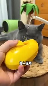 3 ประเภท แปรงขนแมวไอน้ำ ทำให้การสะอาด นวด หวีขนสำหรับสัตว์เลี้ยง ป้องกันขนปลิวไปปลิวมา ไม่ทำร้ายผิวหนังสัตว์เลี้ยง สำหรับสัตว์เลี้ยงคุณ