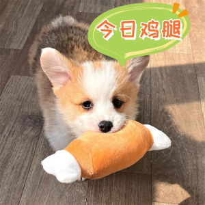 Teddy Dog Toy Plush Chicken Leg Shaking Noise Making Durable Dog Teething Chew Toy Pet Supplies for Small Dogs like Bichon