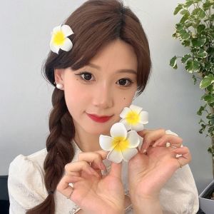 Kẹp hoa sứ phụ kiện chụp ảnh xinh Size 7cm