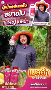 ปุ๋ยเคมีน้ำ เมลด้า สูตรแมกนีเซียม+สังกะสี ใบเขียวเข้ม ไม่แก้ว ไม่ลาย เร่งใบแก่  ใบหนา เร่งโต เพิ่มการสังเคราะห์แสง  (ดูดซึมไว 3 เท่า) ขนาด 1 ลิตร