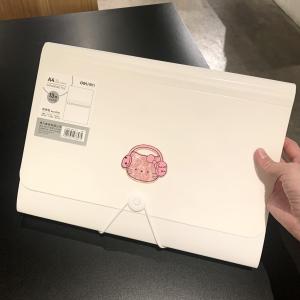 Cute Accordion File Folder Large Capacity Student  Paper Organizer Bag Multi-layer A4 Pregnancy Check Document Album