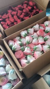 Sỉ 30 đầu bông HOA NHŨ GALAXY kim tuyến siêu đẹp....