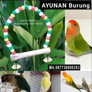 Ayunan Untuk Mainan Burung Parrot