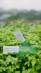 Kem đánh răng Cleanday 100g chiết xuất thiên nhiên làm trắng răng thơm miệng bảo vệ răng khỏi ê buốt sâu răng