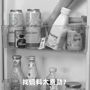 【X】Hanging Storage Cheese Slice Holder for Fridge Side Door Container Easy Insert and Take Out for Sliced Cheese