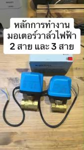 มอเตอร์วาล์วไฟฟ้า 2 ทาง 3 ทาง - มอเตอร์วาล์ว 2 ทาง 3 ทาง วาล์ว บอล วาล์วไฟฟ้า 2 นิ้ว บอล 220V ชุ่มวัตถุม้องเสร็จ ขนาด 1/2 - 2 นิ้ว มีปริมาณ DC9V-36V และ AC 220V