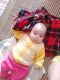linhhung12