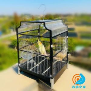 Bird Cage Parrot Universal Tiger Skin Xuanfeng Special Transparent Cage Finch Thrush Starling Bestlife Bird Cage Stainless Steel